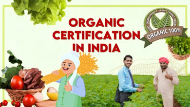 Organic certification in india