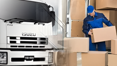 Packers and Movers in Delhi