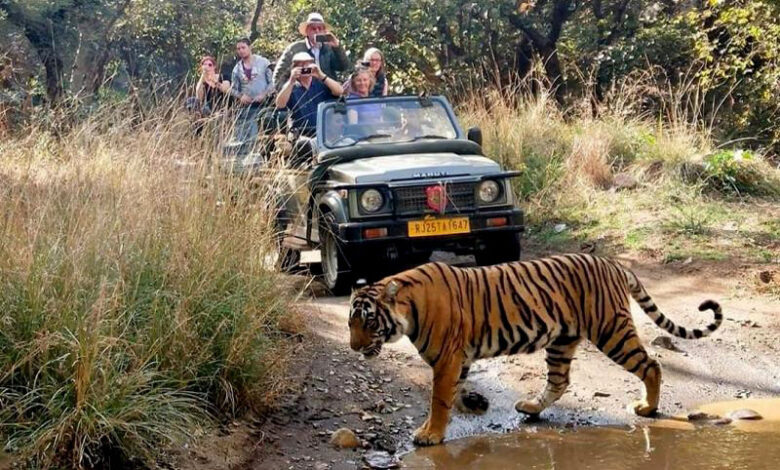 Ranthambore Tiger Reserve Safari Park