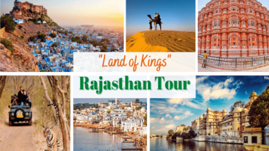 Rajasthan Tours