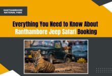Ranthambore jungle safari booking