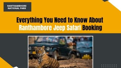 Ranthambore jungle safari booking
