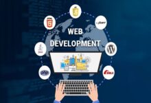 Web Development Company in Florida