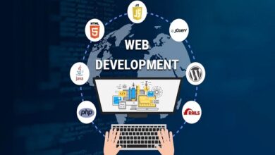 Web Development Company in Florida