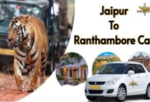 Jaipur to Ranthambore Cab