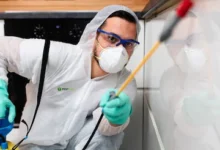 Termite Pest Control​ in Jaipur