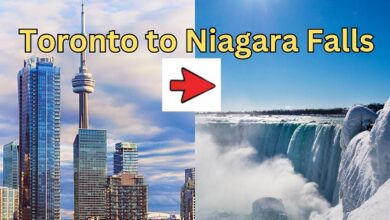 Private Transfer Toronto Downtown Hotels to Niagara Falls