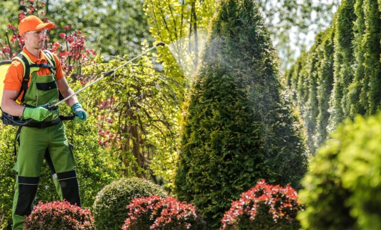 Best Pest Control in Jaipur