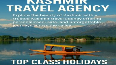 Top 10 Travel Agents in Kashmir
