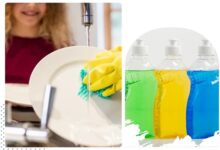 Dishwash Fragrance Exporter in India