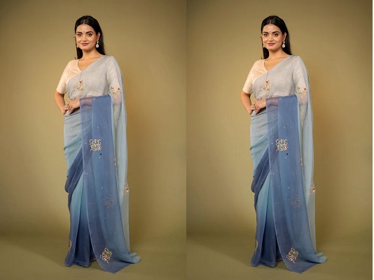 Pure Chiffon Saree