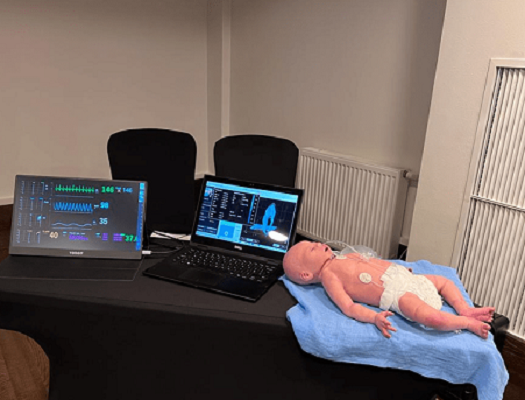 Infant Lung Simulator