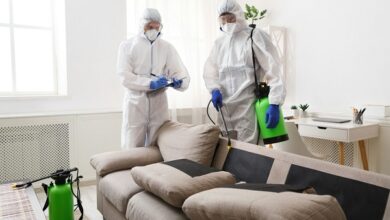 Best Pest Control for Cockroaches in Jaipur