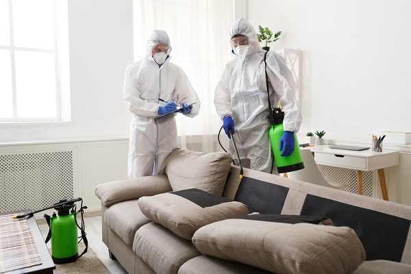Best Pest Control for Cockroaches in Jaipur
