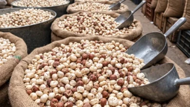 GI tagged makhana supplier