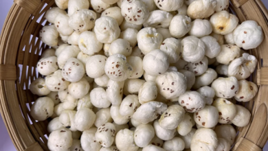 Makhana supplier in Bihar