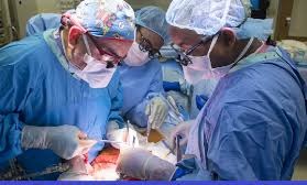 Liver Transplant Doctors in India