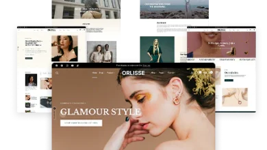 Best Ecommerce Shopify Theme