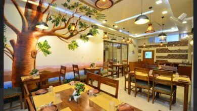 Mansarovar 4 Star Hotel