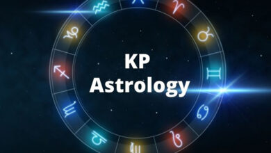 KP Astrology Guidance